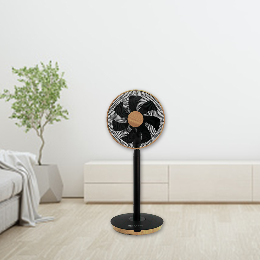 skj-kt30fsf_useroom2